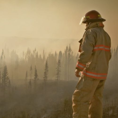 A firefighter man wearing a PPE looking at forest